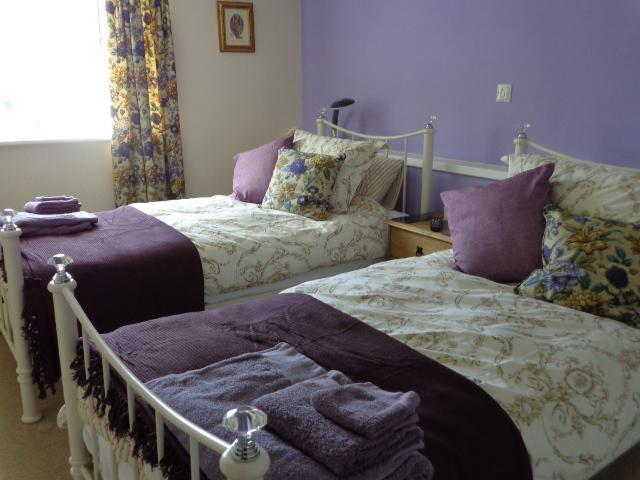Lodge House B&B Buckland St Mary Pokoj fotografie